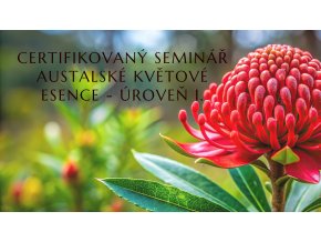 Banner web ABFE uroven I