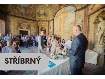 STŘÍBRNÝ