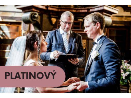 PLATINOVÝ