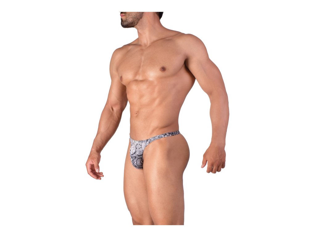Joe Snyder Shining tanga snake JS-03