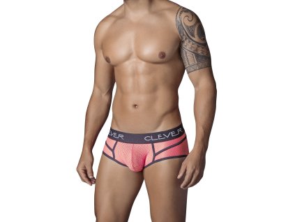 532004 2 Revolution Brief1