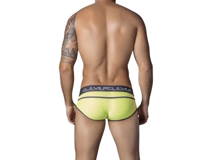 532010 Revolution Brief1