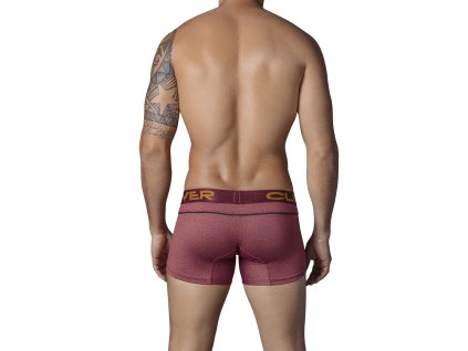 232219 Classy Icon Boxer1