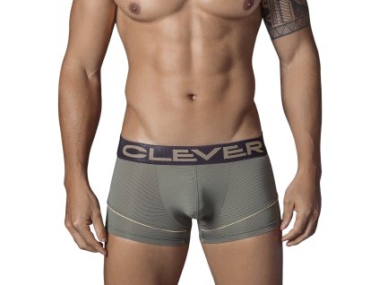 233110 Mark Latin Boxer1