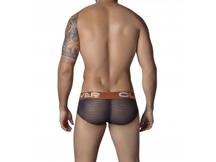 533311 Trendy Latin Brief1