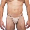 3253 2 joe snyder shining g string nude js 02