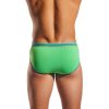 CX76N palm leaf 3