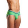CX76N palm leaf 2