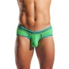 CX76N palm leaf 1