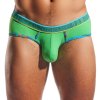 CX76N palm leaf 0