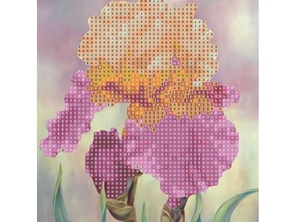 diamantova mozaika 5d kosatec 20x20 cm