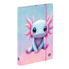 box na zosity a4 axolotl