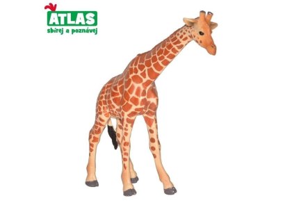 Žirafa 12 cm figurka Atlas