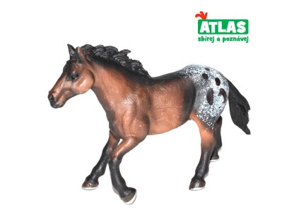 kůn atlas