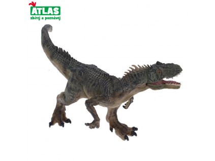 torvo