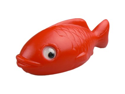 ryba