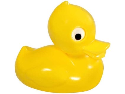 kačeer