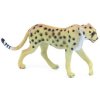 Gepard