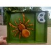 Tarantule - pavouk na dálkové ovládání 24 cm