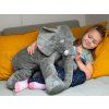 FIC 4986