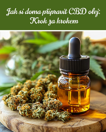 jak si připravit