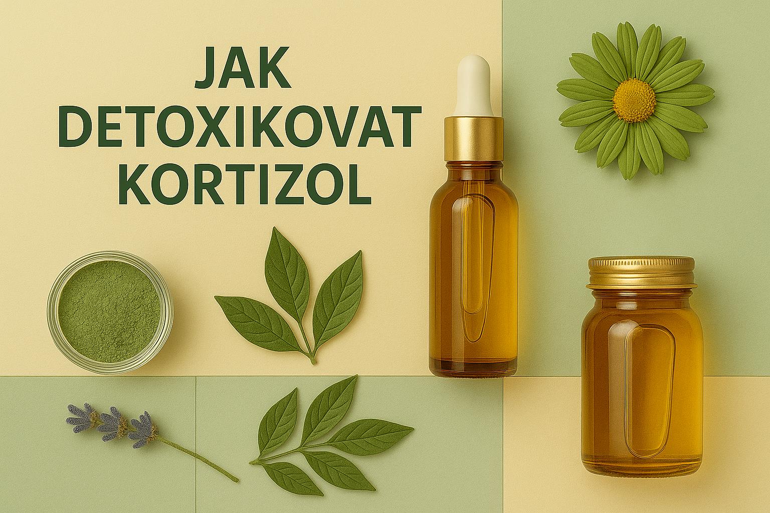 Jak detoxikovat z těla kortizol: Praktické tipy pro snížení stresového hormonu