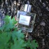 Un Monde Nouveau, Marcus Spurway, pánský parfém, 50 ml