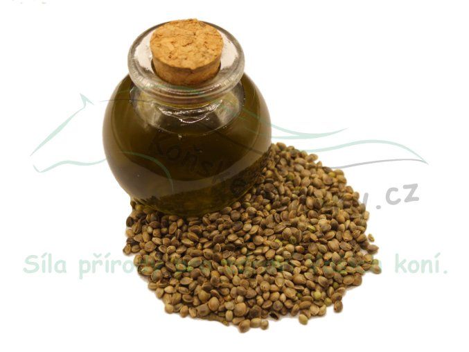konopný olej