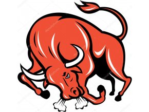 Bull tail