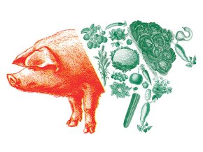 Vepřové maso se zeleninou 1kg