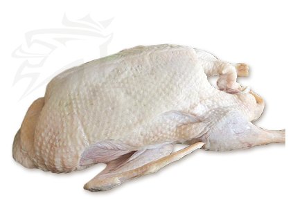 husokacha husokacer logo