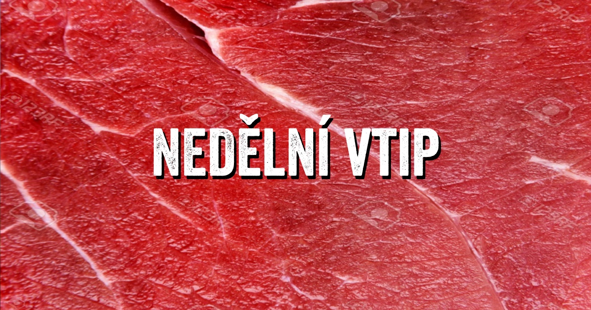 Nedělní vtip #1