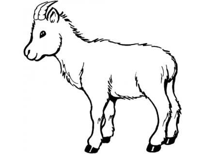 goat 3 coloring page