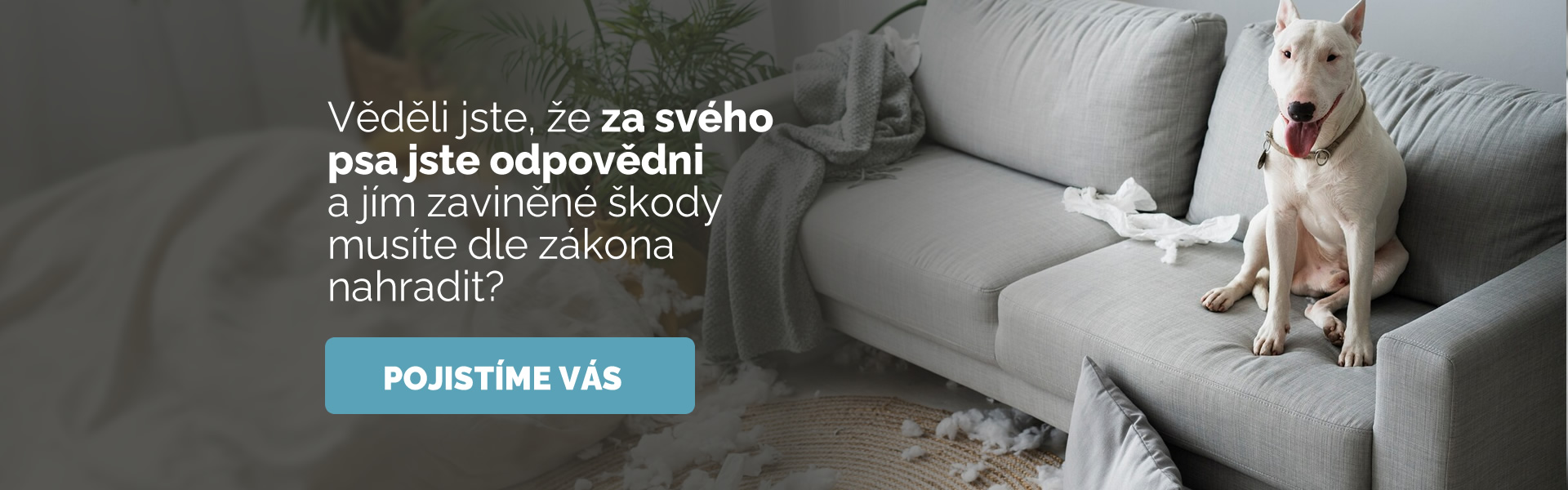 Pojištění