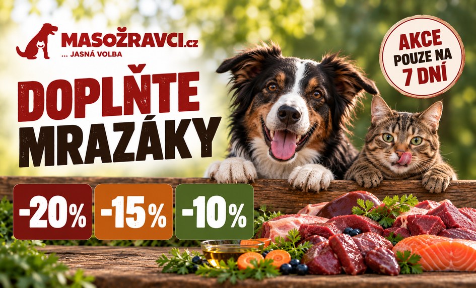 Doplňte mrazáky – akce na 7 dní, slevy až 20 %