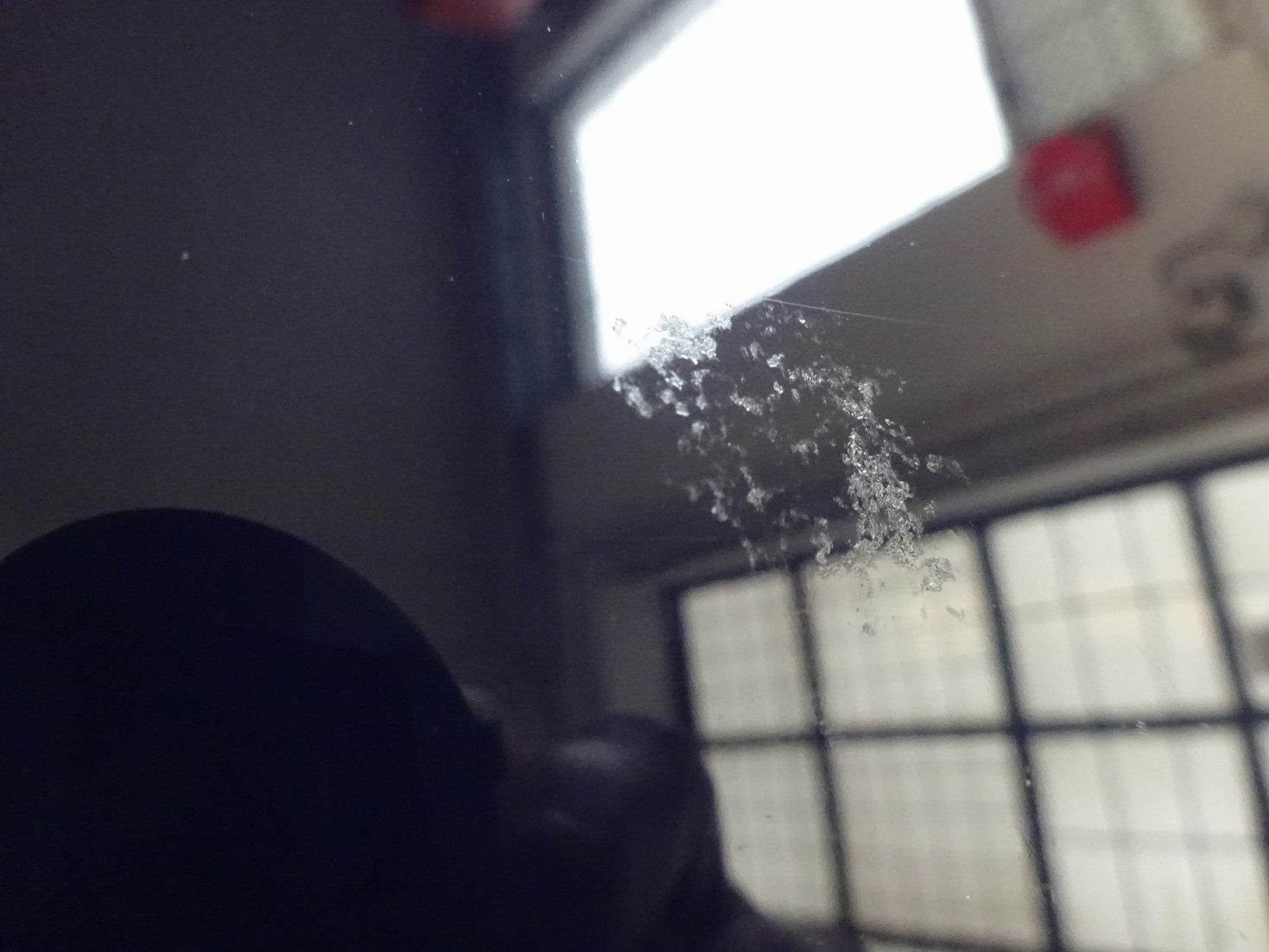 Která nečistota na autě vám zničí lak?