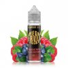 Megafruit Juice - S&V - Raspberry Blueberry (Borůvky s malinami) - 10ml, produktový obrázek.