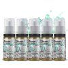 Flavourit SALTER - salt nikotinový booster - 50/50 - 5x10ml - 10mg