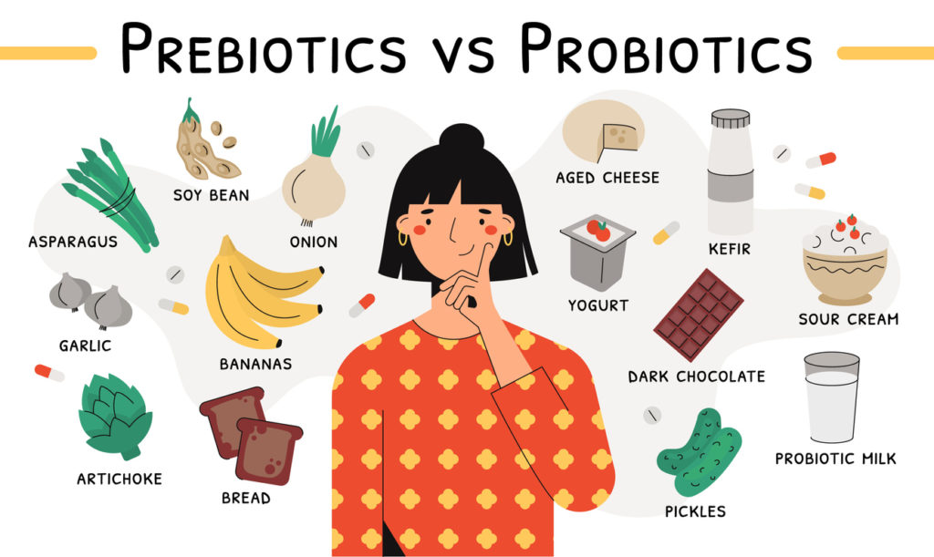 Jaký je rozdíl mezi probiotika a prebiotika?
