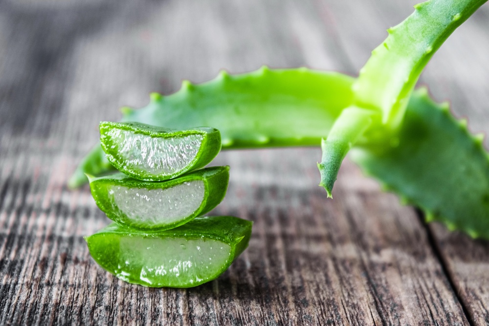 aloe-vera