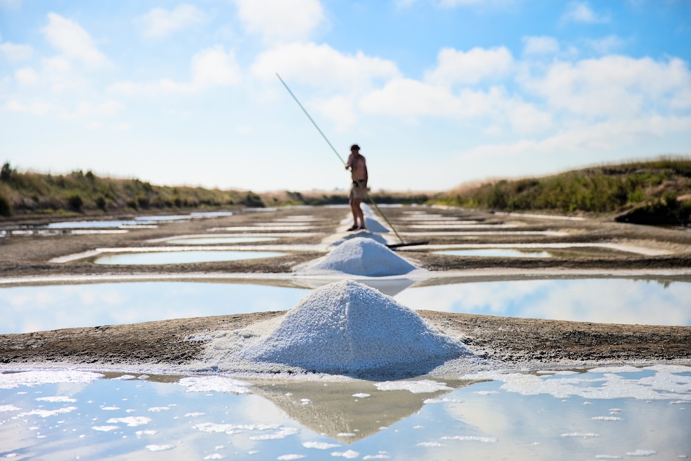 original_keltska_sul