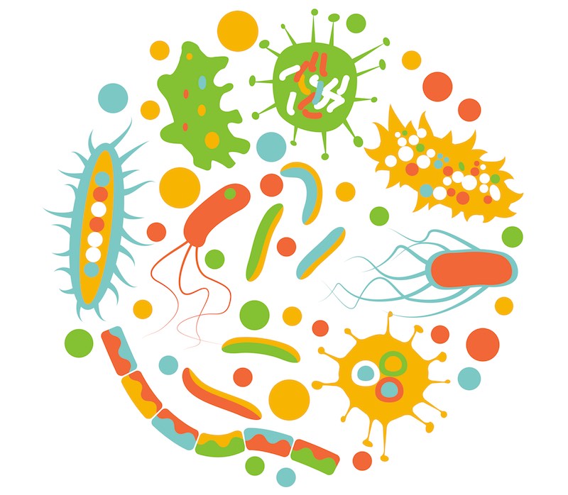 human-microbiome