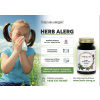 herbalerg alergie