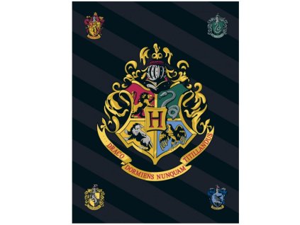 724 deka harry potter 100 x 140 cm
