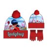 Dětská čepice s rukavicemi Ladybug 52-54 cm Velikost Růžová (Barva Ružová, Veľkosť 52-54 cm Veľkosť)