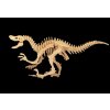 103 drevena 3d stavebnice velociraptor stredni