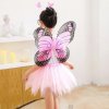 2041 karnevalovy kostym ruzovy motylek