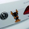 Nálepka na auto Dobrman nebo Dalamtin (Barva Doberman)