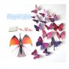 3D dekorace Motýli fialové nebo červené (Barva Fialová)