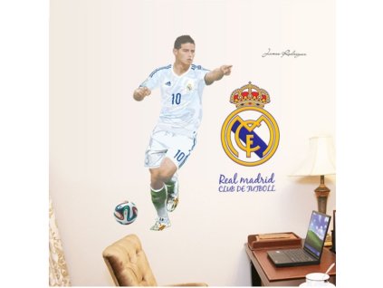 1087 3d nalepka na stenu futbalista